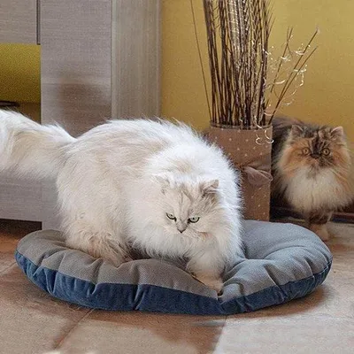 Produktbild von Kuschelkissen für Katzen und Hunde - Umkehrbares, bequemes Braunflanell - Waschfähig - 55/4