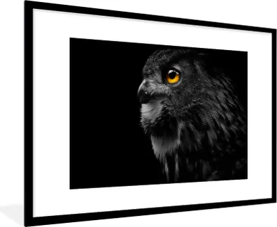 Produktbild von MuchoWow® Gerahmtes Poster Eule - Vogel - Schwarz - Porträt 90x60 cm - Poster mit Schwarzem Bilderrahmen Wandposter Rahmen Foto Bilder - Wanddekoration - Fotos