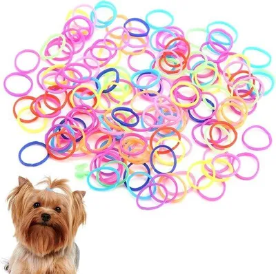 Productafbeelding van Elastische haaraccessoires voor kleine honden