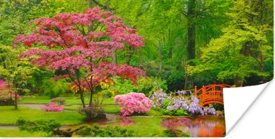 Produktbild von MuchoWow® Poster Brücke - Japanisch - Botanisch - Bäume - Blumen 40x20 cm - Poster für die Wand - Poster Schlafzimmer