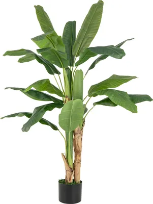Obrázek produktu pro Umělý banánovník, 160 cm, rostlina v květináči s 18 PE listy, široký robustní květináč a kmeny s kůrou, umělá tropická palma