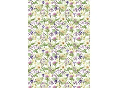 Produktbild von Secare Rolle PREMIUM Wiesenblumen 50cm x 250m 80g/m²