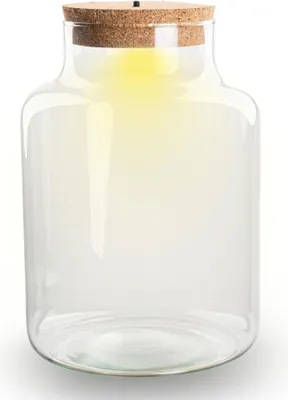 Produktbild von Terrarium Flasche Geschlossene Glasflasche mit Korken und LED-Beleuchtung Höhe