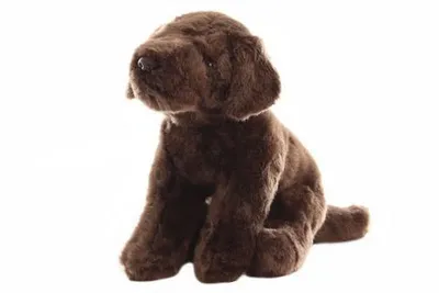 Image de Labrador en peluche 30 cm - ECO-FRIENDLY