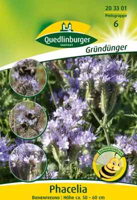 Artikelbild 2 von 'Phacelia - Bienenfreund (50 g)' aus der Kategorie Gründünger & -düngung