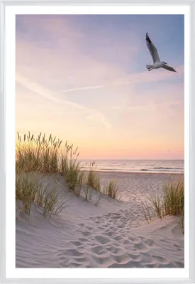 A path through sand dunes leads to a beach at sunset, with a seagull flying in the sky.