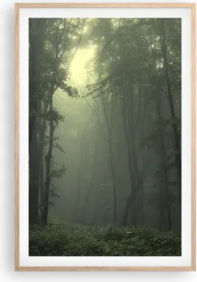 Produktbild von Gerahmtes Poster - Rahmen in heller Eiche - Wald Nebel Baum - 61x91,5 cm - Wand Bild - Wanddeko - Wandbilder - Kunstposter - Wandposter - Bilderrahmen - Bilder - Kunstdruck - Wandbild P2NPA61x91-3543