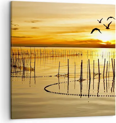 Produktbild von Bild auf Leinwand - Leinwandbild - See Vogel Wasser - 50x50cm - Wand Bild - Wanddeko - Wandbilder - Leinwanddruck - Bilder - Kunstdruck - Wanddekoration - Leinwand bilder - Wandkunst - AC50x50-3616