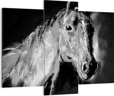 Produktbild von Bild auf Leinwand - Leinwandbild - Pferd Natur Tier - 130x100cm - Wand Bild - Wanddeko - Leinwanddruck - Bilder - Kunstdruck - Wanddekoration - Leinwand bilder - Wandkunst - CB130x100-3426