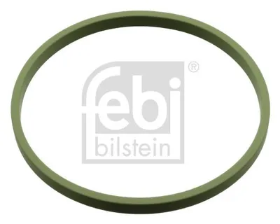 Produktbild von FEBI BILSTEIN 107960 Ansaugkrümmer-Dichtung FKM (Fluorkarbon-Kautschuk) für VW Golf VII Schrägheck (5G1, BQ1, BE1, BE2) Golf IV Schrägheck (1J1)