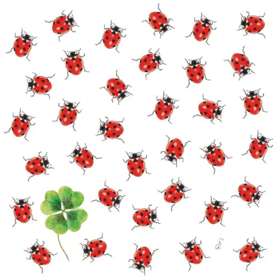 Produktbild von 20 Servietten Bugs - Marienkäfer suchen Kleeblatt 33x33cm