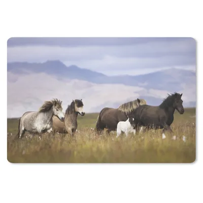 Produktbild von MuchoWow® Schreibtischunterlage Pferde - Gras - Berge 60x40 cm - XXL Mauspad - Großes Mauspad