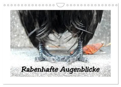 Produktbild von Rabenhafte Augenblicke (Wandkalender 2027 DIN A4 quer), CALVENDO Monatskalender