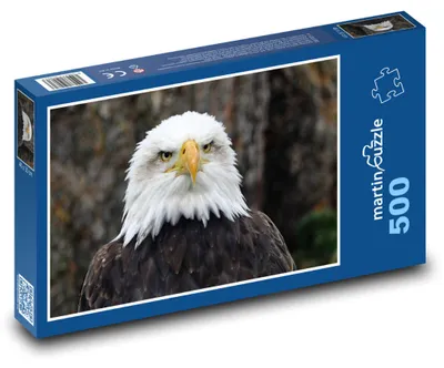 Produktbild von Puzzle 500 Weißkopfseeadler, Raubvogel - martinpuzzle