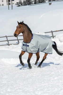 Produktbild von Bucas Power Turnout Pferdecke Outdoordecke Silver 0 g, Weidedecke, Größe:Rückenlänge 155 cm