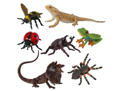 Obrázek produktu pro Collecta Sada figurek hmyzu a ještěrek, figurky hmyzu 3+