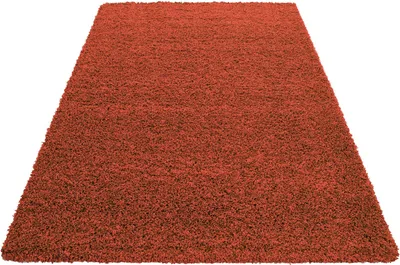 Image de Life Shaggy tapis poils longs rectangle 300x400cm terra