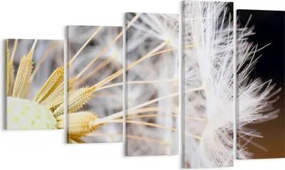 Produktbild von Bild auf Leinwand - Leinwandbild - Baby Sommer Pflanze - 100x60cm - Wand Bild - Wanddeko - Leinwanddruck - Bilder - Kunstdruck - Wanddekoration - Leinwand bilder - Wandkunst - EG100x60-3630