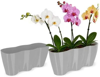 Zdjęcie produktu dla KADAX Doniczka Osłonka Donica Wkład Kwiaty Kolory 35cm