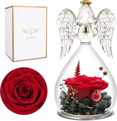 A collage of product images showing a preserved red rose inside a glass angel dome, a close-up of a red rose, and a white gift box with gold trim and a logo.