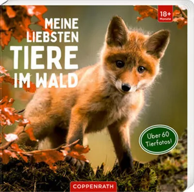 Produktbild von Meine liebsten Tiere im Wald
