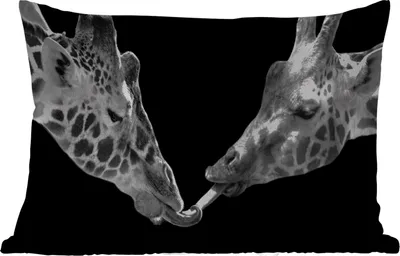 Produktbild von MuchoWow® Outdoor Kissen - Tiere - Schwarz - Giraffe - Weiß - Porträt - 60x40 cm - Wetterfest - Lounge Kissen - Zierkissen - Kissen für Innenräume