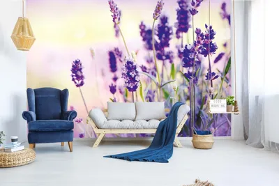 Produktbild von Vlies Fototapete LAVENDELFELD 375 x 250 cm (inkl. Kleister) - Vlies Tapete, Wandtapete, Wandbilder - Tapete für Wohnzimmer Schlafzimmer, Büro, Küche - Montagefertig