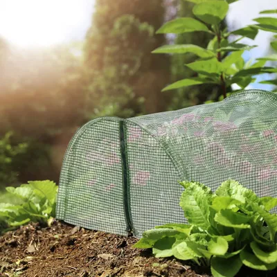 Image de Film pour tunnel Kweektunnel avec fermeture éclair 29 mètres pliable contre les parasites, les oiseaux et le froid vert