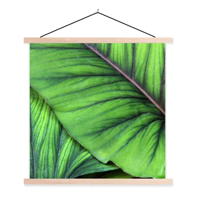 Produktbild von MuchoWow® Textilposter Foto von großen tropischen botanischen Blättern 60x60 cm mit holzfarbenen Rahmen - Wanddekoration