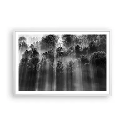 Produktbild von Gerahmtes Poster - Weißer Rahmen - Bäume drinnen Nebel - 91,5x61 cm - Wand Bild - Wanddeko - Wandbilder - Kunstposter - Wandposter - Bilderrahmen - Bilder - Kunstdruck Wanddekoration - P2WAA91x61-4889