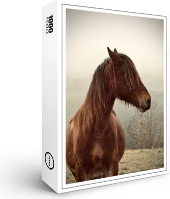 Produktbild von raxxa Premium-Puzzle "Jung und Wild", 1000 Teile