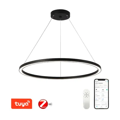 Obrázek produktu pro Immax NEO FINO Smart závěsné svítidlo 1 kruh, 80cm, 60W, černé, Zigbee 3.0