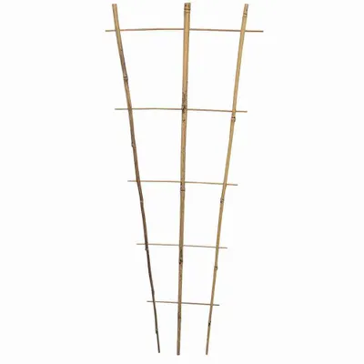 Produktbild von SIENA GARDEN Spalier 85x33x12cm