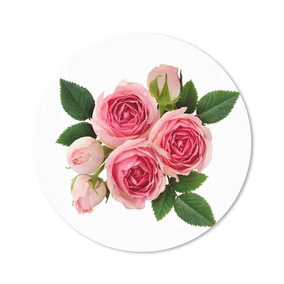 Produktbild von MuchoWow® Mauspad Mousepad Blumen - Rosen - Rosa 50x50 cm - Mousepads - Maus Mat - Pad - Mausunterlage - Vinyl