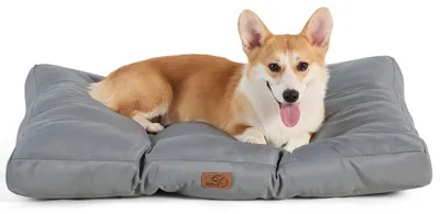 Produktbild von Waschbares Hundebett für kleine Hunde 76x50x10cm Wasserabweisend