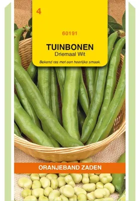 Produktbild von Oranjeband Puffbohnen Dreifach Weisse, 100g - 1 Packung Saatgut