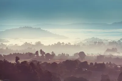 Produktbild von Muralo Fototapete Wald im Nebel 254 (B) x 184 (H) cm Vlies Tapete Wandtapeten Bäume Wohnzimmer Schlafzimmer moderne Wandbilder XXL Landschaft Panorama Wand Dekoration
