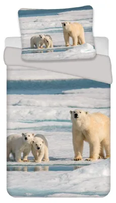 Produktbild von Bettwäsche Set mit Eisbär 2tlg. 135x200 cm + 80x80 cm 100% Baumwolle, KI-generiertes Bild