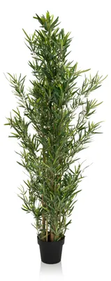 Produktbild von hjh OFFICE Kunstpflanze BAMBUS Künstliche Pflanze Bambus Höhe 165.0 cm Deko