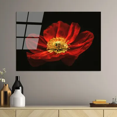Produktbild von Wallity, UV-204 70 x 100, Dekorative Malerei aus gehärtetem Glas, 100 % gehärtetes Glas, Mehrfarbig, 70 x 100 cm