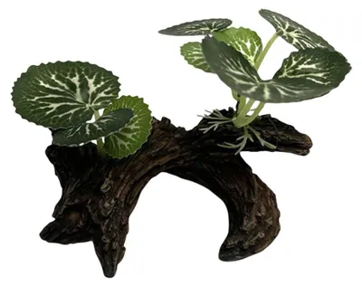 Productafbeelding van Kunststof Aquariumplanten voor Terrarium en Reptielen