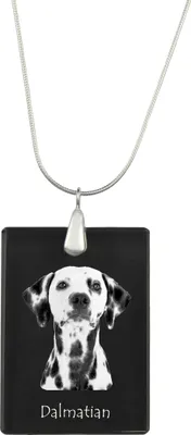 Produktbild von Dalmatiner, Dalmatinac - Kristallanhänger mit Hund, Silberhalskette mit Foto, personalisierter Anhänger der Marke Art-Dog