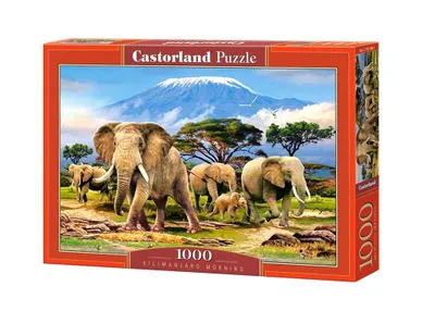 Immagine prodotto di Puzzle 1000 pezzi Kilimanjaro Morning 103188