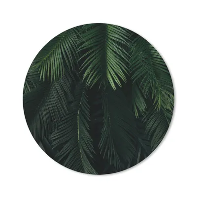 Produktbild von MuchoWow® Mauspad Mousepad Blätter - Tropisch - Muster - Jungen - Mädchen - Kinder - Kind 30x30 cm - Mousepads - Maus Mat - Pad - Mausunterlage - Tischunterlage - Schreibtischmatten