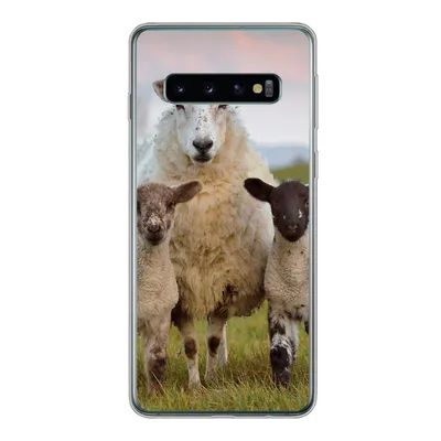 Produktbild von MuchoWow® Handyhülle Schutzhülle Hülle für Samsung Galaxy S10 Schafe - Natur - Schwarz - Weiß Silikon Softcase Handy Hülle - Handytasche