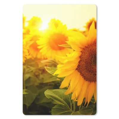 Produktbild von MuchoWow® Mauspad Mousepad Sonnenblume - Gelb - Blumen - Sonne 18x27 cm - Mousepads - Maus Mat - Pad - Mausunterlage - Schulsachen