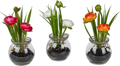 Produktbild von 3er Set künstliche Ranunkeln im Glastopf H. 16cm Formano Kunstblumen WA