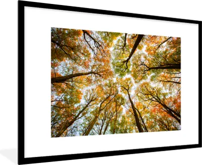 Produktbild von MuchoWow® MuchoWow® Gerahmtes Poster Wald - Bäume - Herbst 90x60 cm - Poster mit zchwarzem Bilderrahmen - Wanddekoration - Fotos