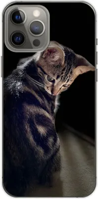 Produktbild von König Design Hülle kompatibel mit Apple iPhone 14 Plus Kunststoff Soft Handyhülle - Handy Case Junge Katze
