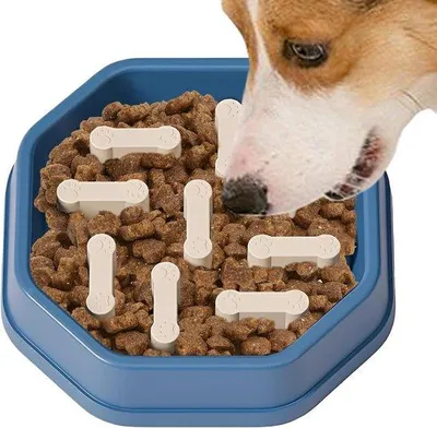Productafbeelding van Famanu anti-verslikkings voerbak voor huisdieren - geschikt voor honden, katten, alle maten, met water- en voerreservoir